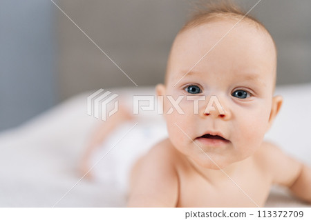 Closeup of cute newborn baby lying in bed trying to crawl waving hand at home. Front view of adorable little kid having good mood. Rising girl, first steps in crawling after hand plank. 113372709