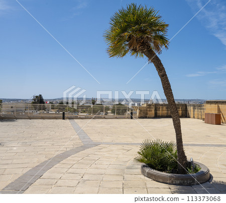 The Argotti botanic garden in Valletta, Malta The Argotti botanic garden in Valletta, Malta 113373068