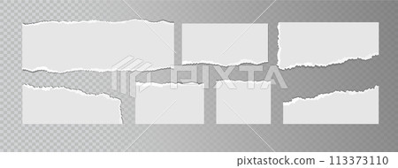 Realistic ripped white paper sheets isolated on transparent background. Torn blank pages with uneven texture. Vector 113373110