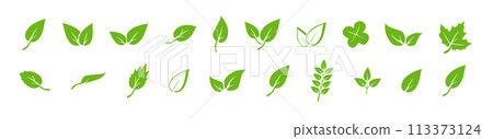 Green leaf icons set. Elements design for natural, eco, vegan. Leaves icon on isolated background. Collection green leaf. Vector Green leaf icons set. Elements design for natural, eco, vegan. Leaves icon on isolated background. Collection green leaf. Vector 113373124