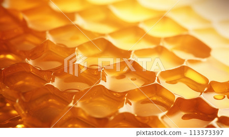 Honey texture. Honeycomb with honey, close-up. Honeycomb with honey. 113373397