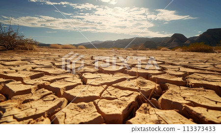 Arid desert landscape with cracked earth and sparse vegetation under a bright sun Arid desert landscape with cracked earth and sparse vegetation under a bright sun 113373433