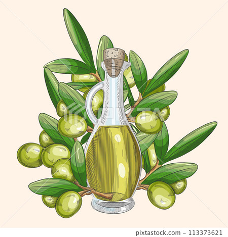 Hand drawn pencil olive set, branch and botle of olive oil. Handdrawn sketch of olives. Vector illustration. EPS 10 Hand drawn pencil olive set, branch and botle of olive oil. Handdrawn sketch of olives. Vector illustration. EPS 10 113373621