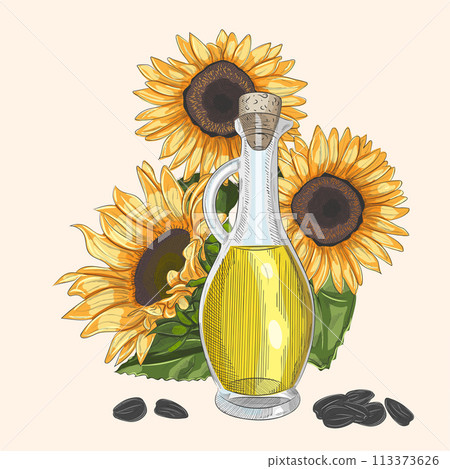 Sunflower oil bottle and flower. Vector illustration. Sunflower oil bottle and flower. Vector illustration. 113373626