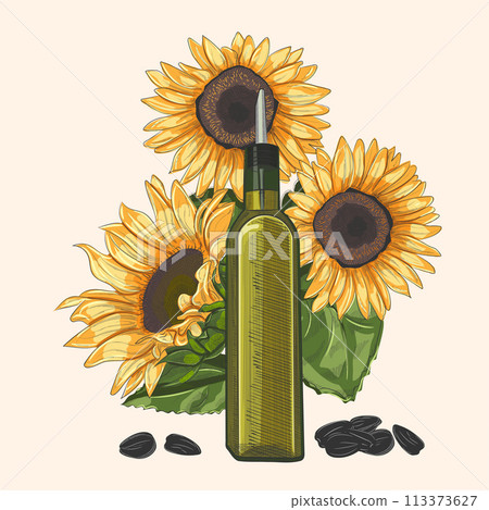 Sunflower oil, in a bottle with a dispenser. Sunflower flowers and sunflower seeds. Vector illustration in hand drawing style 113373627