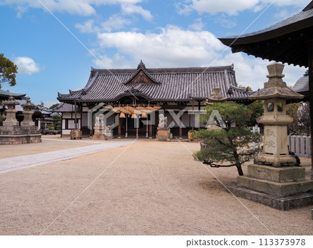 Cherry blossoms at Sone Tenmangu Shrine in Takasago City, Hyogo Prefecture 113373978