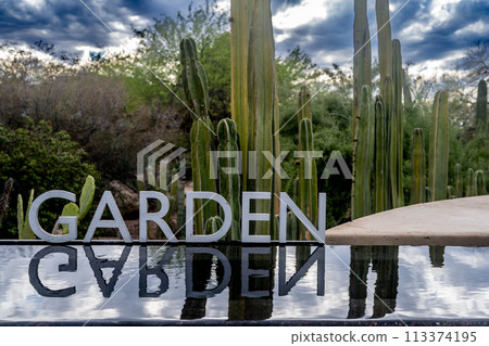 Garden sign reflected in a pool of water with desert cactus in the background  113374195