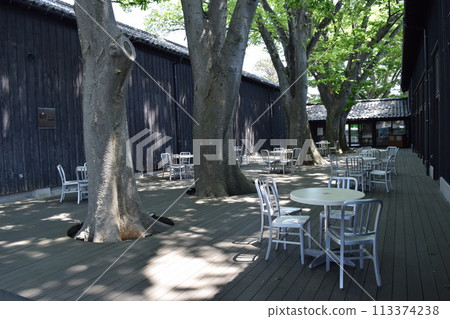 White table and chair Sunlight filtering through the trees 113374238