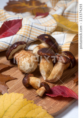 Several Imleria Badia or Boletus badius mushrooms commonly known as the bay bolete on wooden cutting board.. 113374293