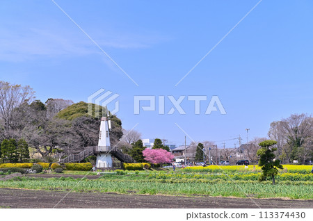 Spring scenery of Minuma, Saitama City, Saitama Prefecture 113374430