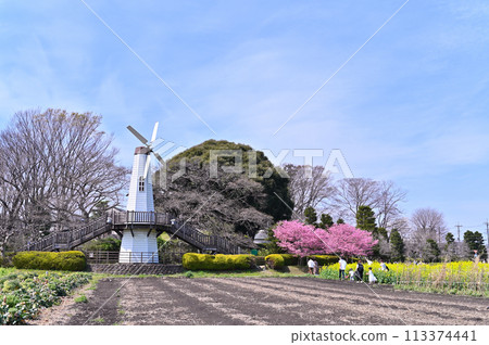 埼玉縣見沼市的春天景色 113374441