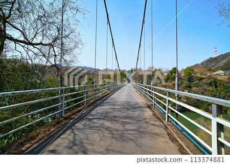 神奈川縣津久井湖夜橋的早春景色 神奈川縣津久井湖夜橋的早春景色 113374881