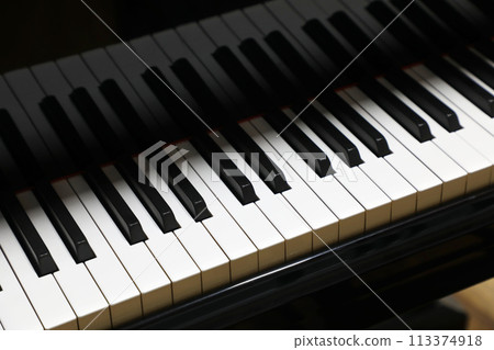 Piano Keyboard Piano Keyboard 113374918