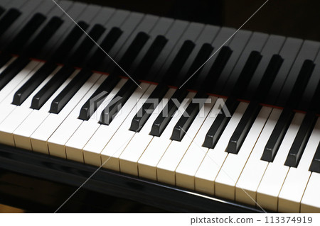 Piano Keyboard Piano Keyboard 113374919