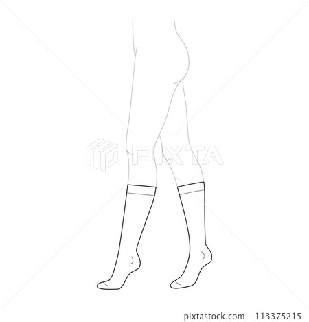 Calf-high Stocking hosiery hose. Fashion accessory clothing technical illustration. Vector side view for Men, women Calf-high Stocking hosiery hose. Fashion accessory clothing technical illustration. Vector side view for Men, women 113375215
