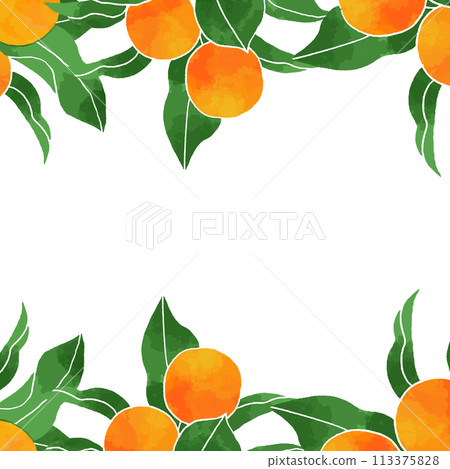 citrus background material 113375828