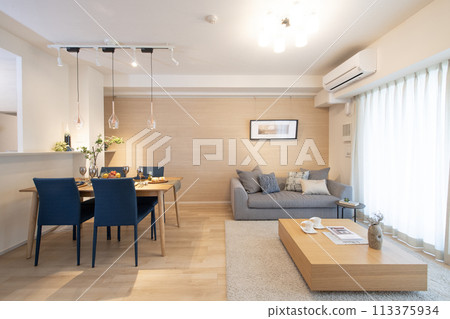 Living room residence Living room residence 113375934