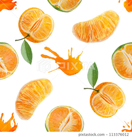Green and orange tangerine and color splash watercolor seamless pattern isolated on white 113376012