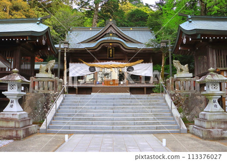 Sasamuta Shrine (Oita City) 113376027
