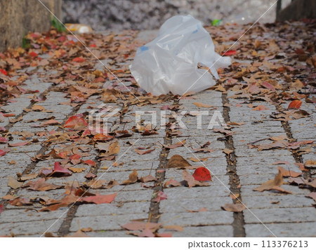 trash in the park trash in the park 113376213