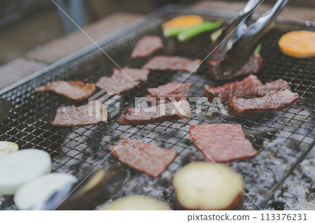 barbecue, barbecued, barbeque 113376231