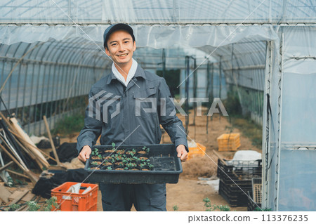 greenhouse, gents, male 113376235