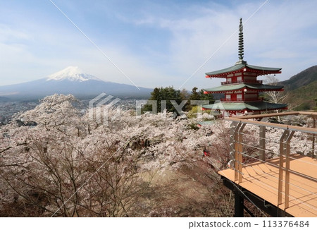 從新倉富士淺間神社展望台看到的富士山、櫻花和五層寶塔2 113376484