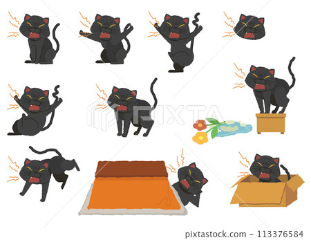 A set of black cats who are in a bad mood and roaring 113376584