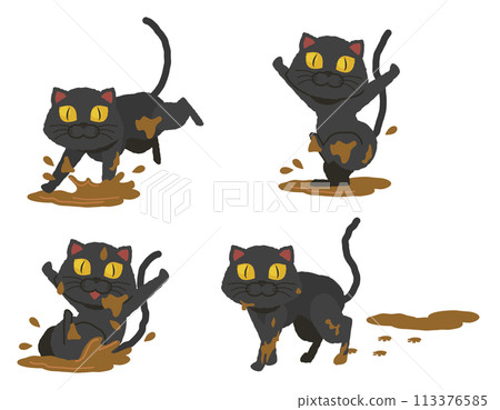 Set of black cats playing in a muddy puddle Set of black cats playing in a muddy puddle 113376585