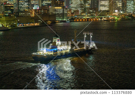 Night view of the port pier on the north side of Tokyo Bay. Night view of the port pier on the north side of Tokyo Bay. 113376880