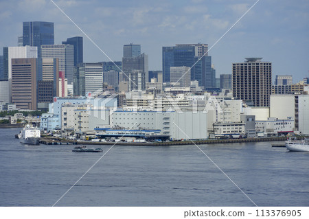 東京灣北側港口碼頭的景色。 113376905
