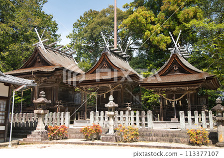 Yamato Hakusan Hime Shrine [Hakusan-cho, Tsu City, Mie Prefecture] 113377107