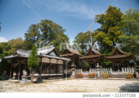 Yamato Hakusan Hime Shrine [Hakusan-cho, Tsu City, Mie Prefecture] 113377108