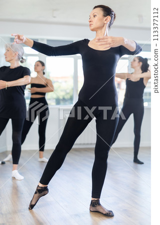 Group of women rehearsing ballet dance 113377112