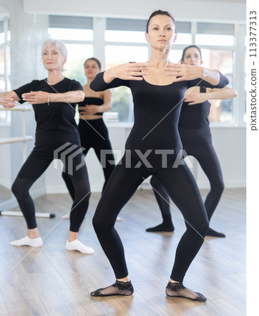 Group of women rehearsing ballet dance 113377313