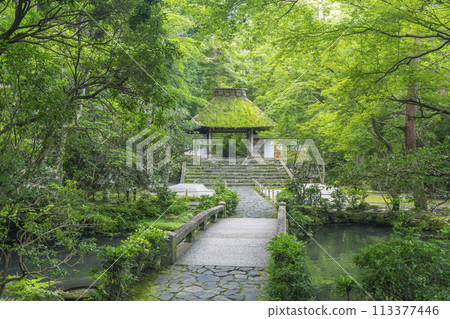 法然院參道、白沙平台(京都鐵學之道附近) 法然院參道、白沙平台(京都鐵學之道附近) 113377446