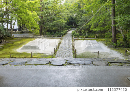 Shirasada, the approach to Honen-in Temple (near the Philosopher's Path, Kyoto) 113377450