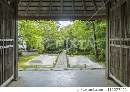 法然院參道、白沙平台(京都鐵學之道附近) 法然院參道、白沙平台(京都鐵學之道附近) 113377451