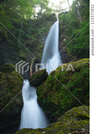 Kasagi Valley Kasagi Fudotaki (Otaki) [三重縣 Watarai 郡大樹町] 113377852