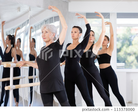 Group of people doing ballet exercises using barre in studio Group of people doing ballet exercises using barre in studio 113378000