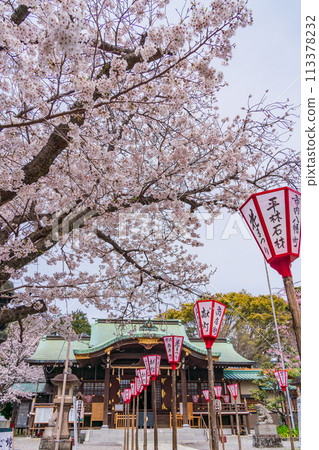 [靜岡縣]櫻花盛開的沼津日枝神社 113378232