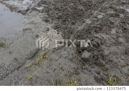 After the construction of the underground perforated drainage pipe After the construction of the underground perforated drainage pipe 113378475