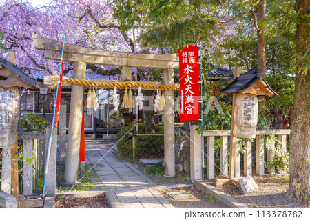 翠花天滿宮紅垂櫻（京都市上京區） 113378782