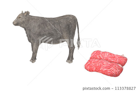 Cow and beef watercolor pencil illustration 113378827