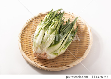 [宮城縣] Puntarella（義大利蔬菜） 113378944