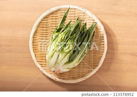 [宮城縣] Puntarella（義大利蔬菜） 113378952