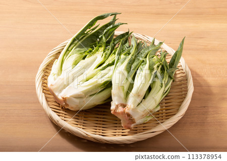 [宮城縣] Puntarella（義大利蔬菜） 113378954