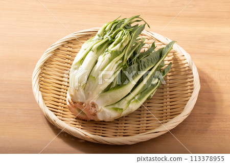 [宮城縣] Puntarella（義大利蔬菜） 113378955