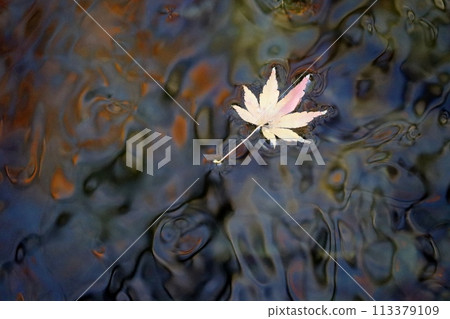 楓樹漂浮的水面很神奇,有七種變化。 楓樹漂浮的水面很神奇,有七種變化。 113379109