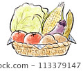 蔬菜在籃子裡 113379147